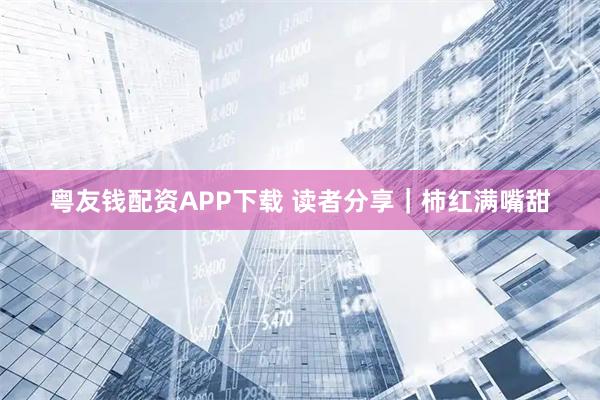 粤友钱配资APP下载 读者分享｜柿红满嘴甜