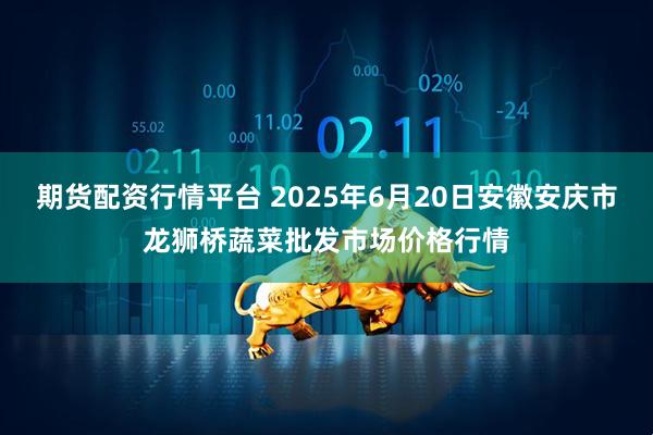 期货配资行情平台 2025年6月20日安徽安庆市龙狮桥蔬菜批发市场价格行情
