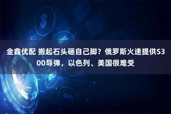 金鑫优配 搬起石头砸自己脚？俄罗斯火速提供S300导弹，以色列、美国很难受