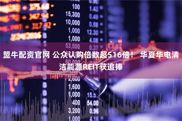 盟牛配资官网 公众认购倍数超516倍！ 华夏华电清洁能源REIT获追捧
