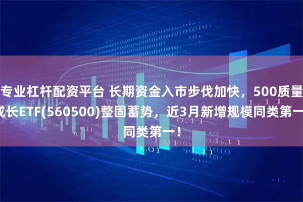 专业杠杆配资平台 长期资金入市步伐加快，500质量成长ETF(560500)整固蓄势，近3月新增规模同类第一！