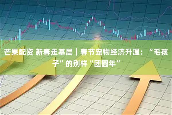 芒果配资 新春走基层｜春节宠物经济升温：“毛孩子”的别样“团圆年”