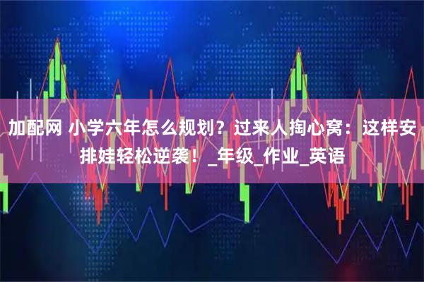加配网 小学六年怎么规划？过来人掏心窝：这样安排娃轻松逆袭！_年级_作业_英语
