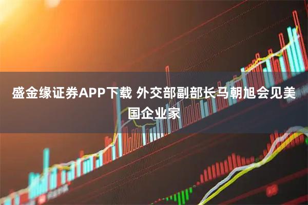 盛金缘证券APP下载 外交部副部长马朝旭会见美国企业家